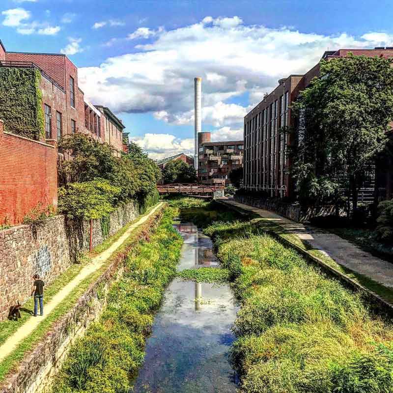 Free Outdoor Activities in Washington, DC