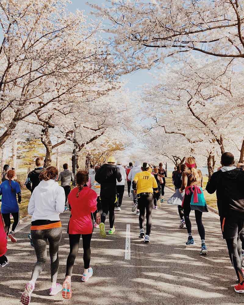 Half marathons in washington dc