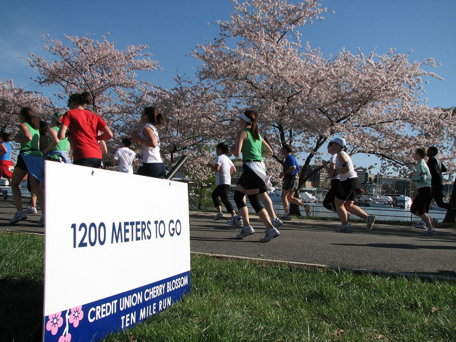 Top Organized Races, Marathons & Triathlons in Washington, DC