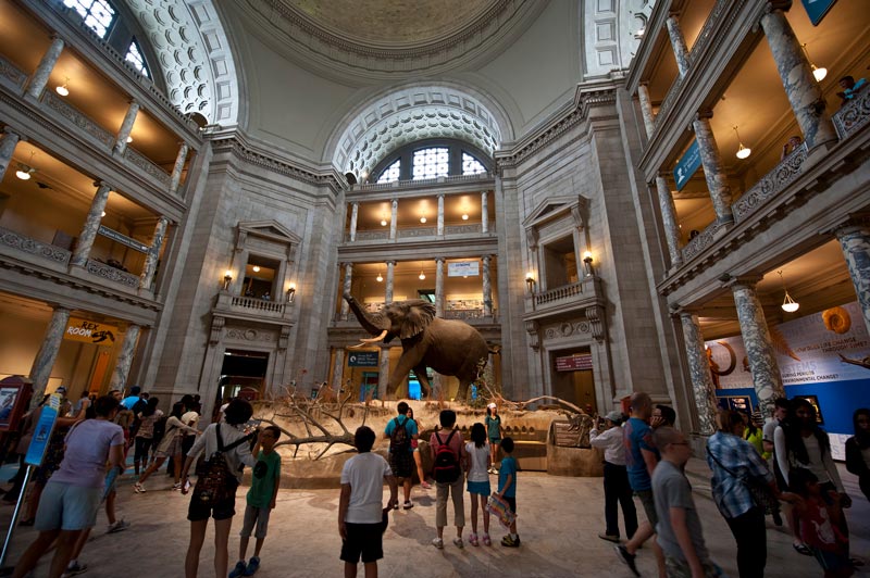 Best KidFriendly Attractions \u0026 HandsOn Museums in Washington, DC