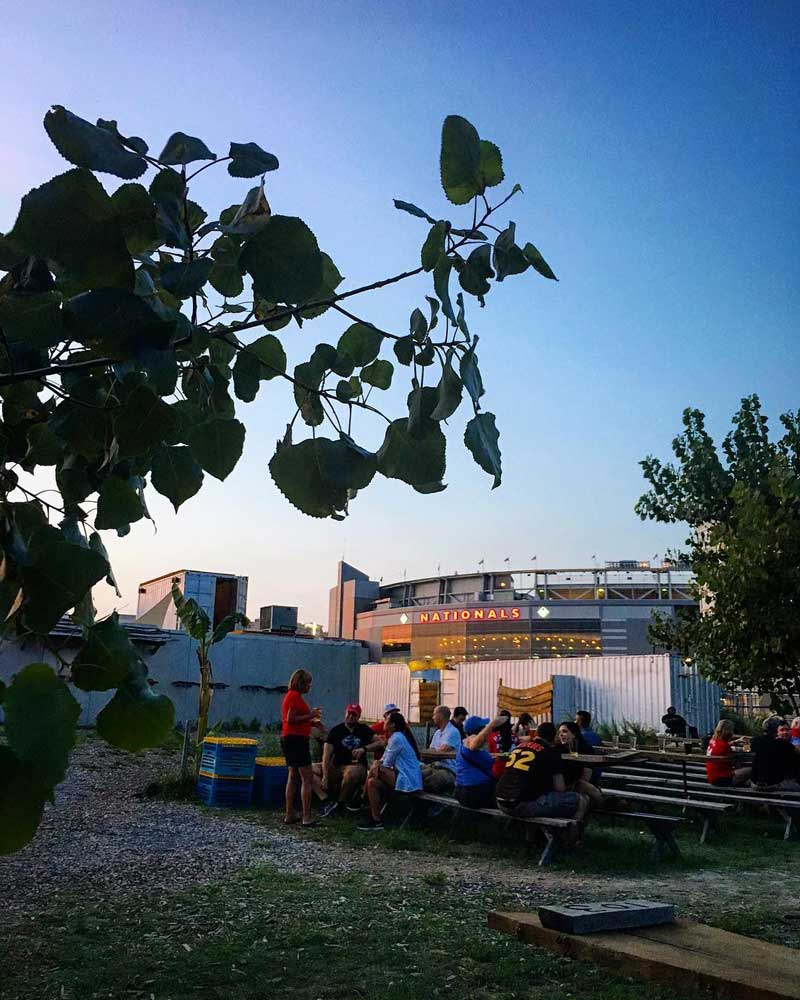 The 14 Best Beer Gardens In Around Dc Washington Org