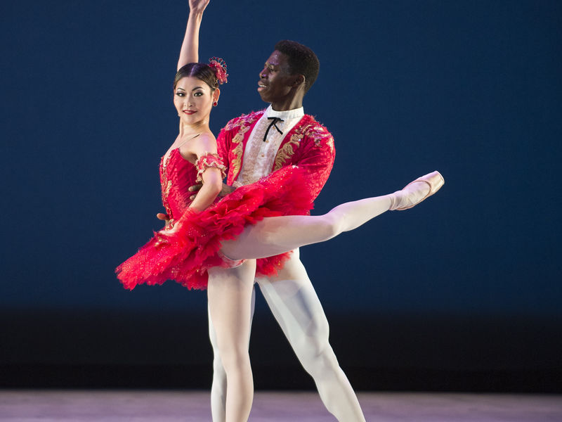 The Washington Ballet