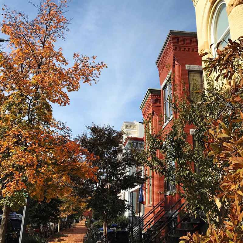 Best Places to Photograph Fall Foliage in DC