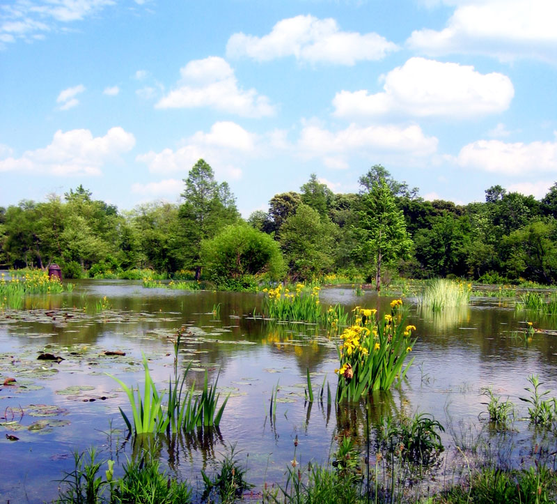 The Best Things to Do in Washington, DC This Summer