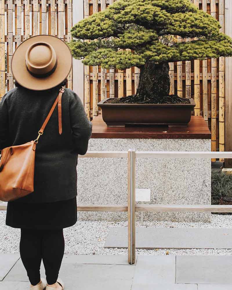 Free Things to Do International Experiences in DC