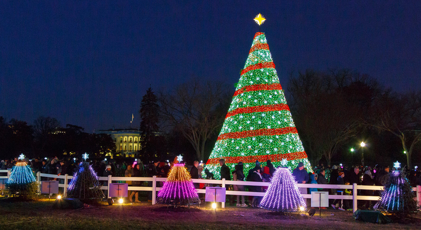 Christmas Tree Lighting Dc 2021