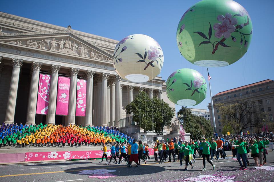 The Best National Cherry Blossom Festival Events in Washington, DC