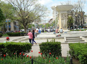 Dupont Circle - Washington, DC