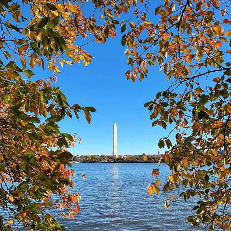 official tourism site of washington dc washington org
