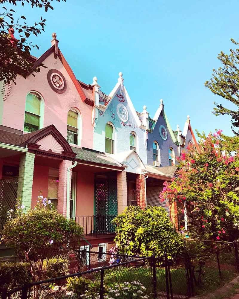 Official Tourism Site of Washington DC | Washington.org