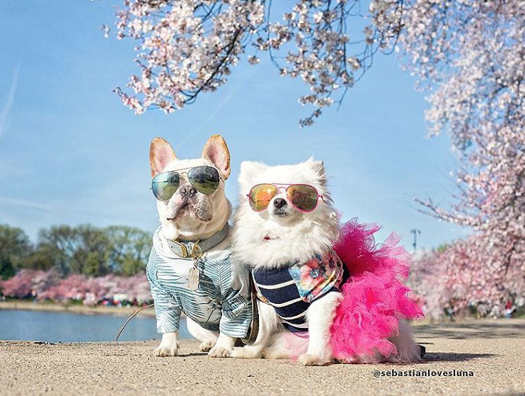 Spring