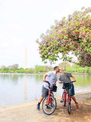 Do date night right with our ultimate guide to romance in Washington DC