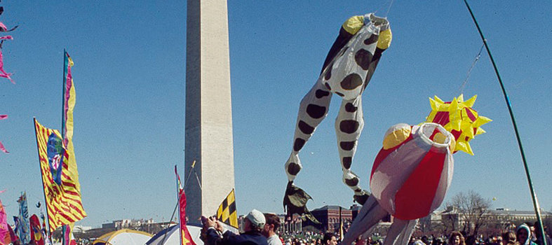 What National Cherry Blossom Festival events are going on?