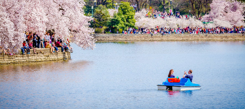 Tidal Basin Paddle Boats
