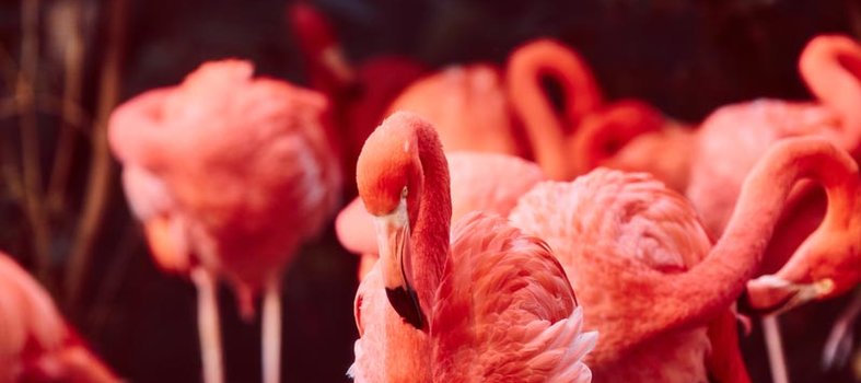 Smithsonian National Zoological Park