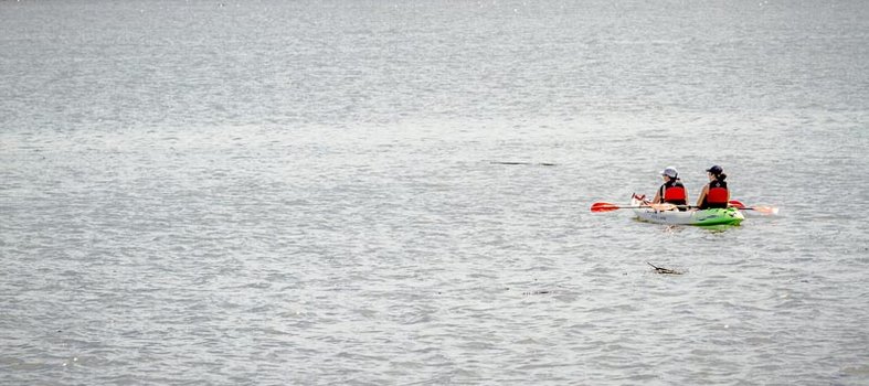 Rent a kayak on the Capitol Riverfront