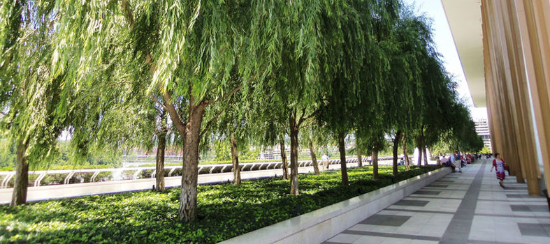 The Kennedy Center