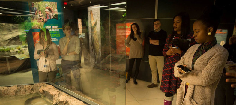 Go on an exploration through the National Geographic Museum
