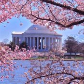 Washington Dc Budget Friendly Lodging Cheap Hotels Dc
