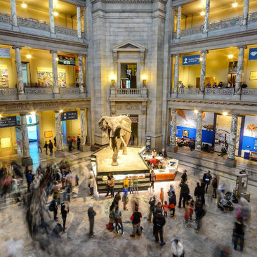 American Museum Of Natural History Overview American Museum Of Natural History Overview