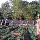 The Korean War Veterans Memorial on the National Mall - Monuments and memorials in Washington, DC