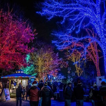 the best things to do this winter in dc washington org things to do in dc on christmas